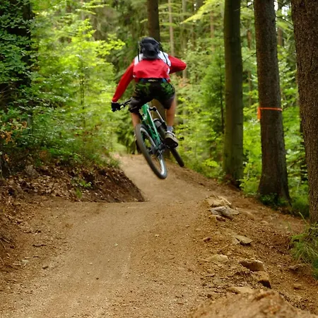 Albrechtice Daire *