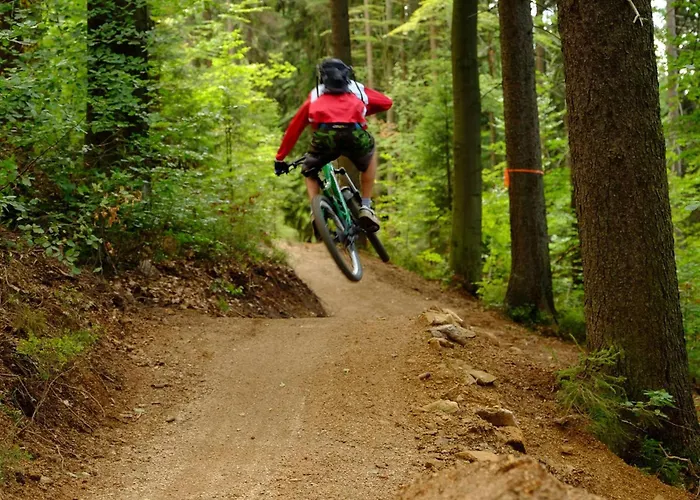 Lägenhet Albrechtice